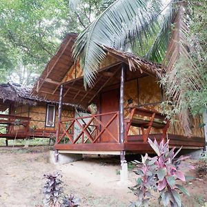 One-Bedroom Bungalow